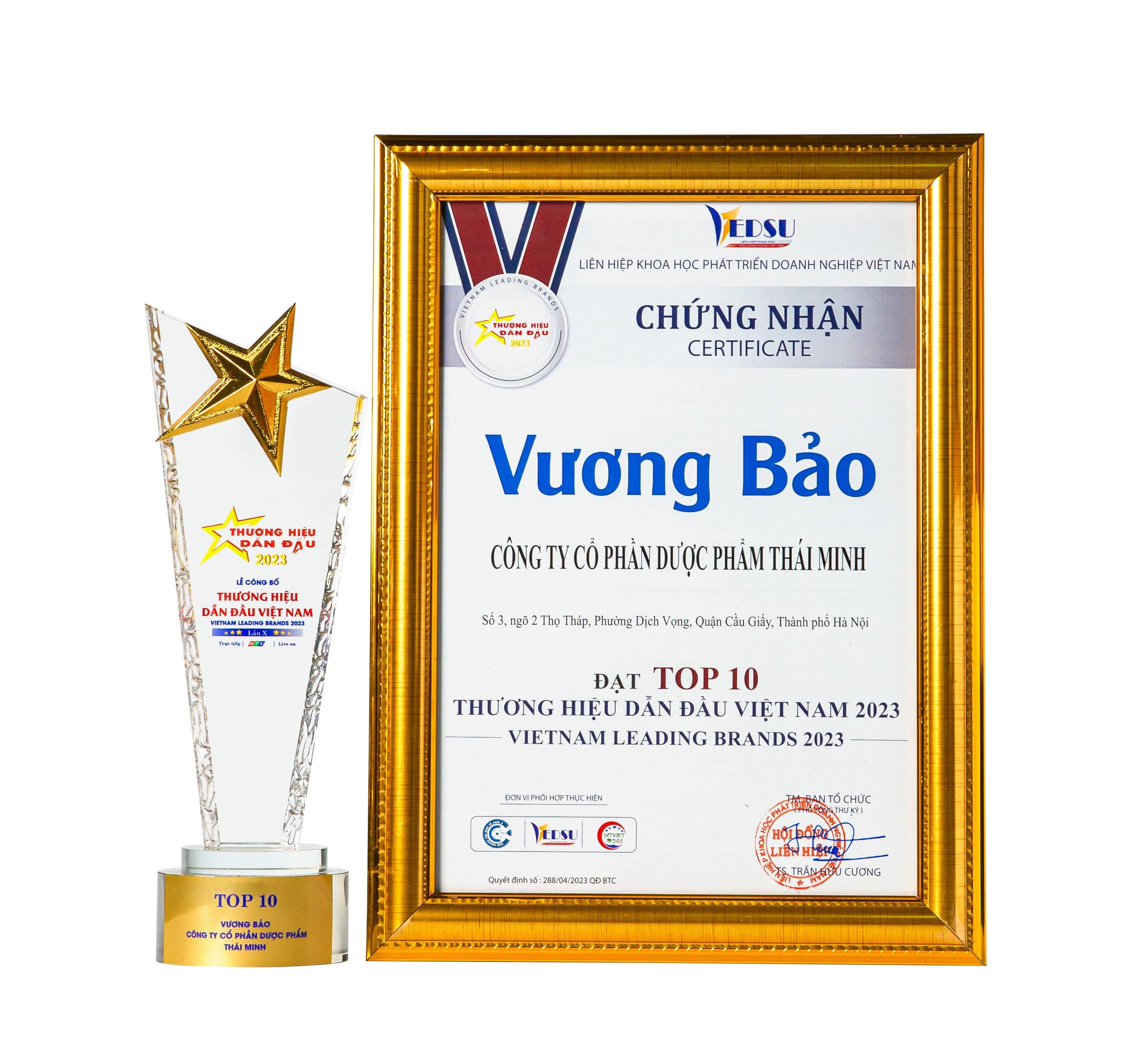 Top 10 thương hiệu dẫn dầu VN 2023-min.jpg